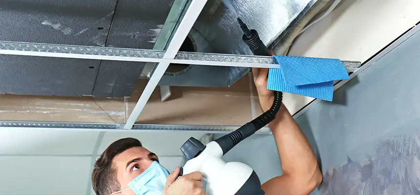 Our Air Duct Rodent Removal Services in Richmond, IN