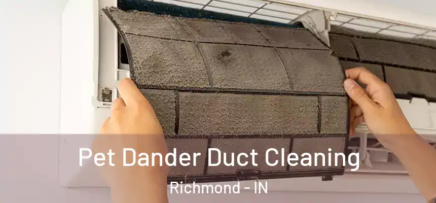 Pet Dander Duct Cleaning Richmond - IN
