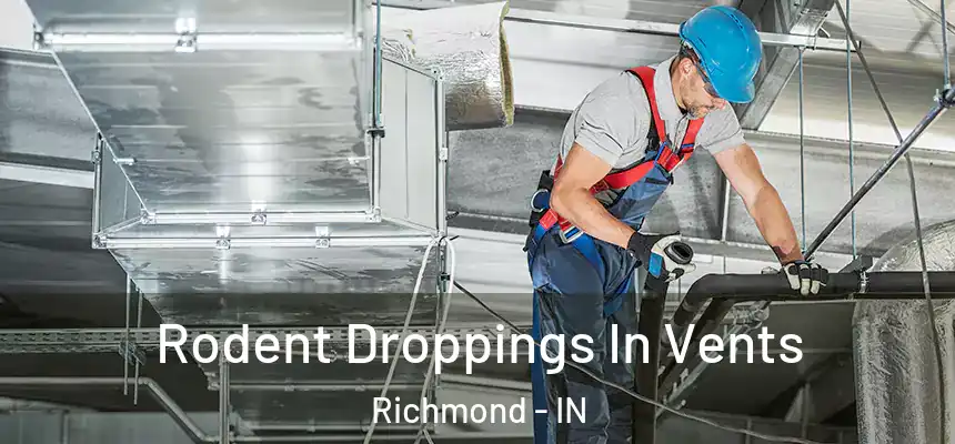  Rodent Droppings In Vents Richmond - IN