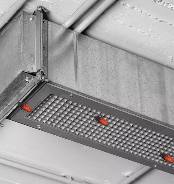 About Air Duct Cockroach Removal in Richmond, IN