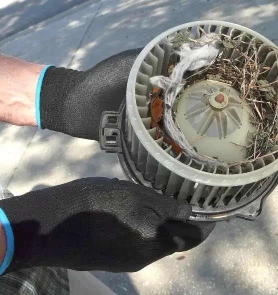 About Air Duct Mice Removal in Richmond, IN