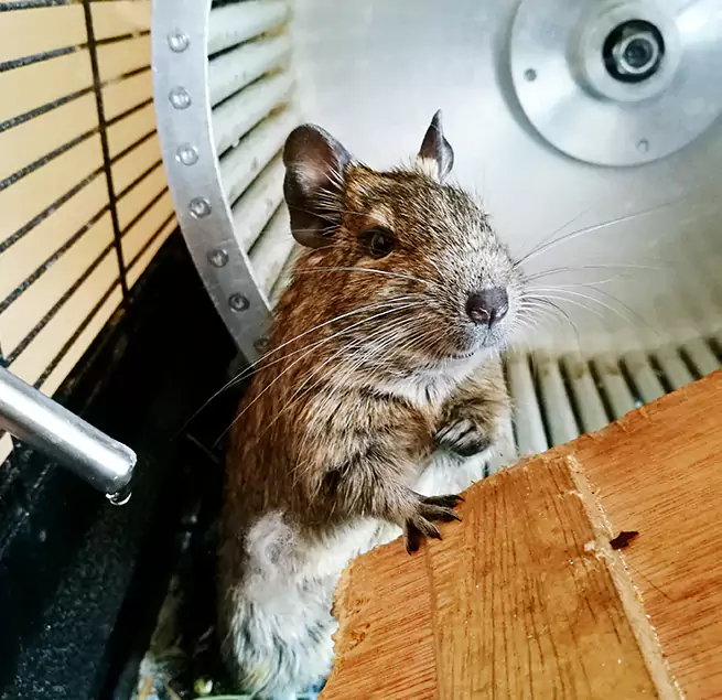 Why Homeowners & Businesses Trust Us Richmond, IN?